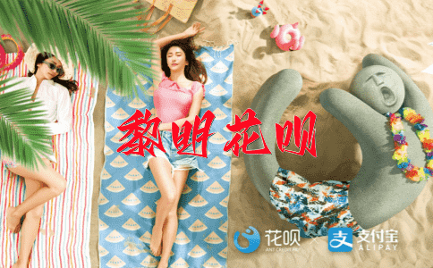 掌上明珠花呗